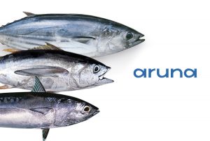 Serupa Tapi Tak Sama, Inilah Perbedaan Tuna Tongkol &amp; Cakalang - Aruna