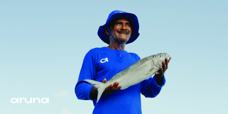 Sustainable Fisheries Contribution to GDP, sustainability fishery industry, startup perikanan