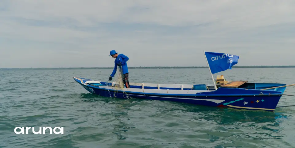 fisheries industry, usaha perikanan tangkap
