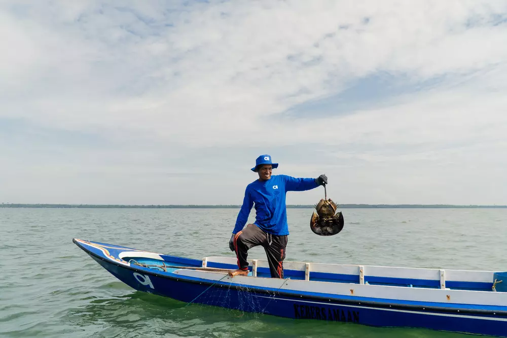 nelayan indonesia, nelayan pertama aruna indonesia