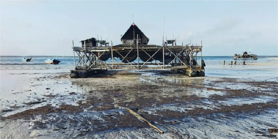 In addition to disrupting aquaculture and fishing activities, it also has an impact on the tourism sector