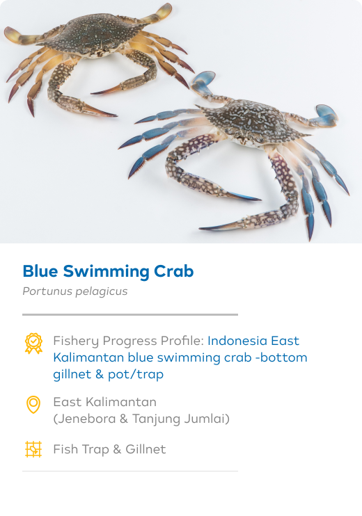 Foundation Image Desktop