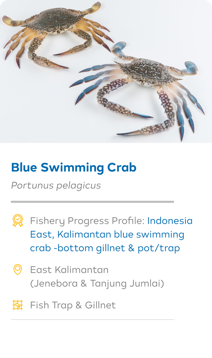 Foundation Image Mobile