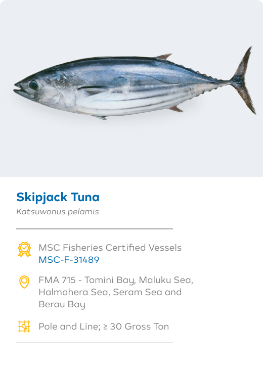 Foundation Image Desktop