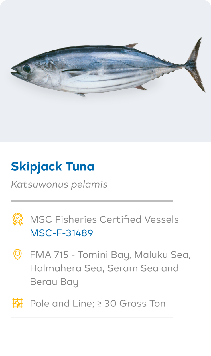 Foundation Image Mobile