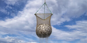 Aruna topik overfishing
